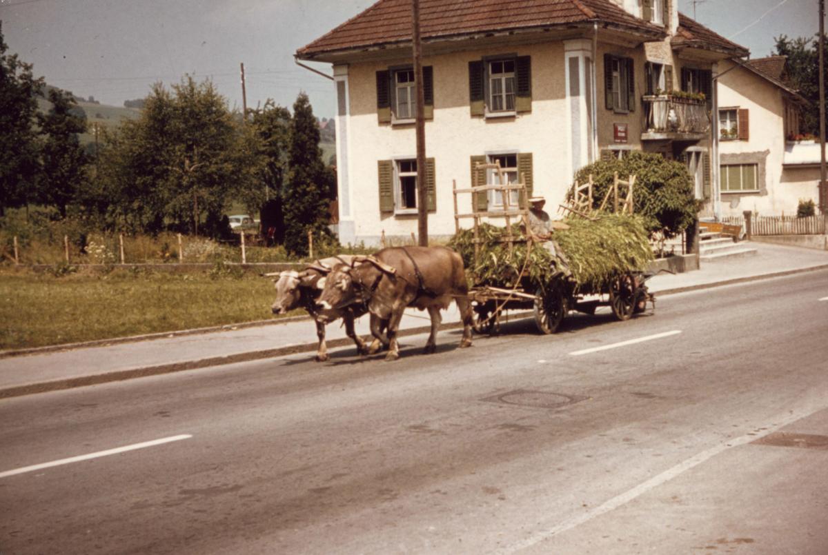 Grasfuhrwerk Post 1965