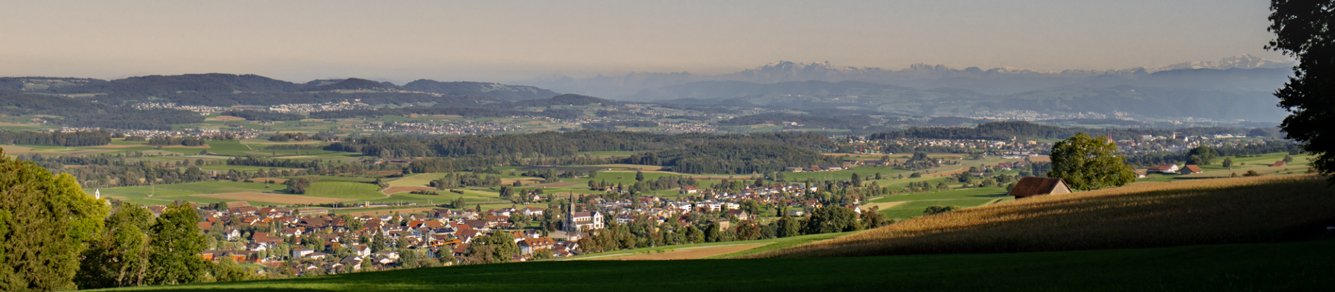 Boswil